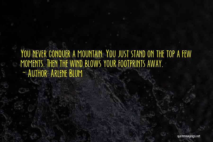 Arlene Blum Quotes: You Never Conquer A Mountain. You Just Stand On The Top A Few Moments. Then The Wind Blows Your Footprints