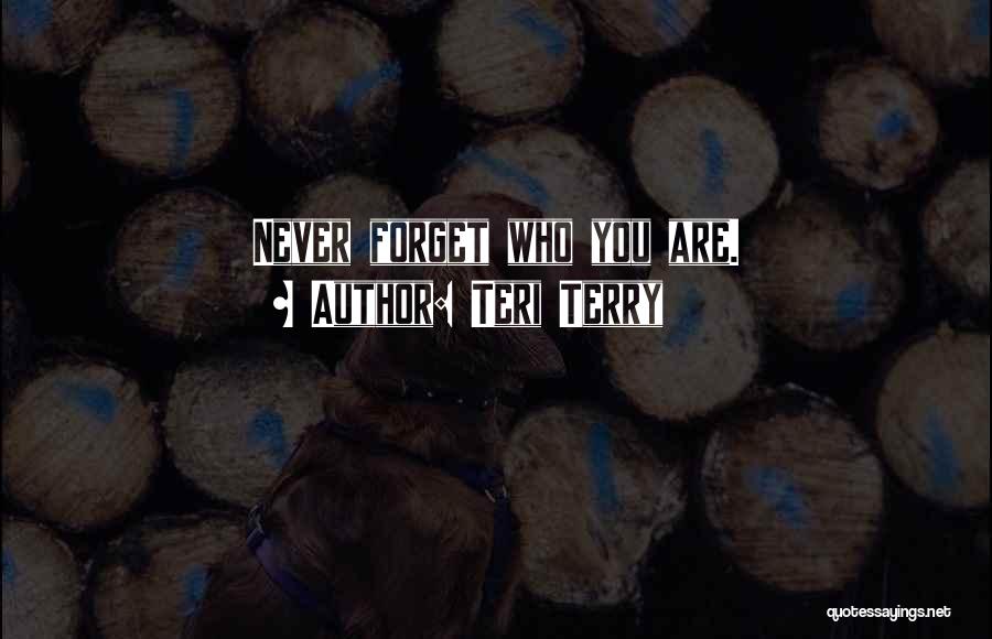 Teri Terry Quotes: Never Forget Who You Are.