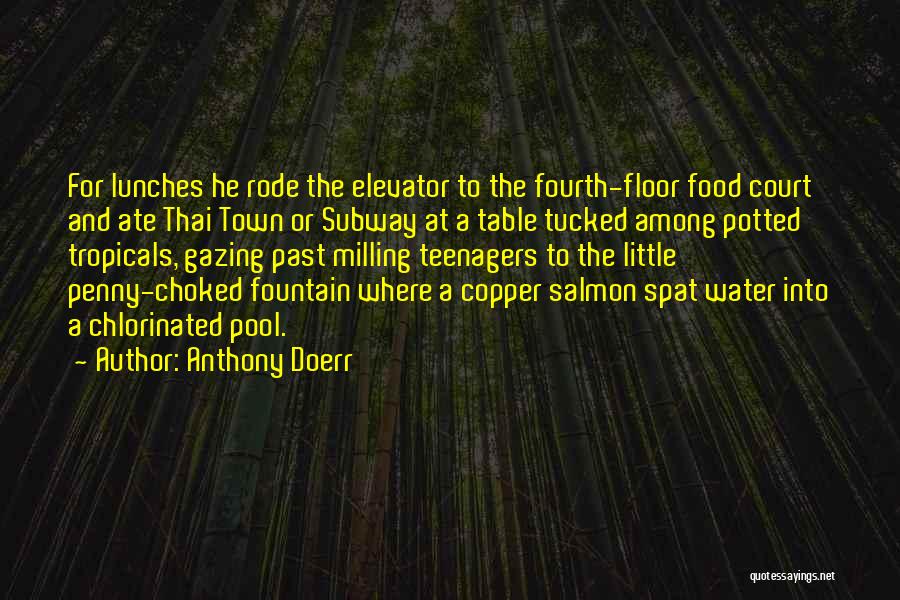 Anthony Doerr Quotes: For Lunches He Rode The Elevator To The Fourth-floor Food Court And Ate Thai Town Or Subway At A Table