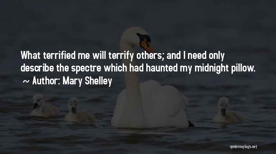 Mary Shelley Quotes: What Terrified Me Will Terrify Others; And I Need Only Describe The Spectre Which Had Haunted My Midnight Pillow.