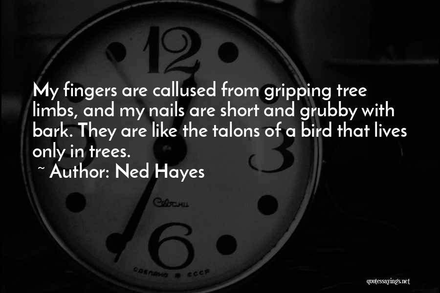 Ned Hayes Quotes: My Fingers Are Callused From Gripping Tree Limbs, And My Nails Are Short And Grubby With Bark. They Are Like