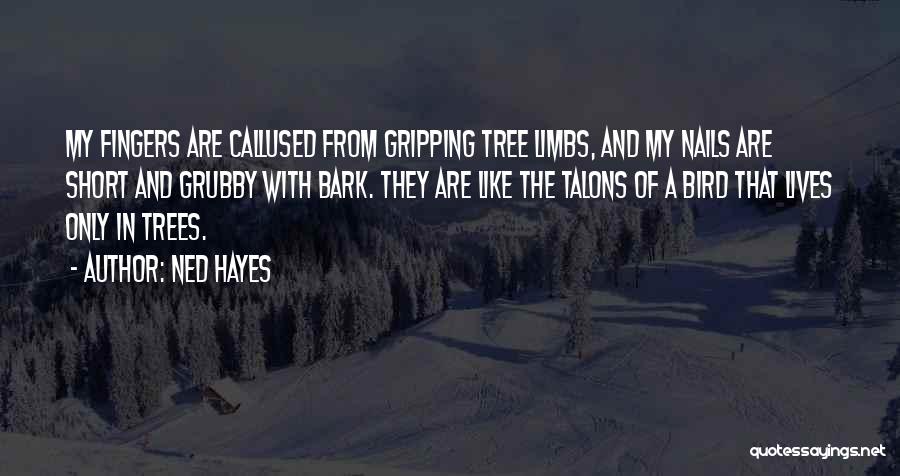 Ned Hayes Quotes: My Fingers Are Callused From Gripping Tree Limbs, And My Nails Are Short And Grubby With Bark. They Are Like