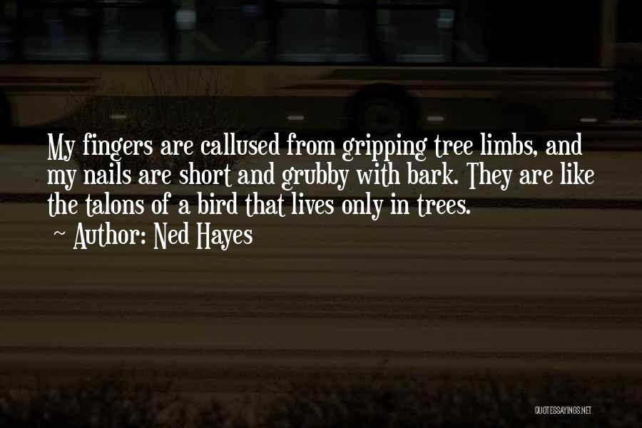 Ned Hayes Quotes: My Fingers Are Callused From Gripping Tree Limbs, And My Nails Are Short And Grubby With Bark. They Are Like