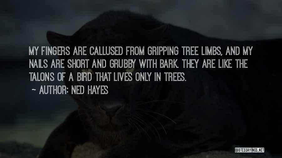 Ned Hayes Quotes: My Fingers Are Callused From Gripping Tree Limbs, And My Nails Are Short And Grubby With Bark. They Are Like