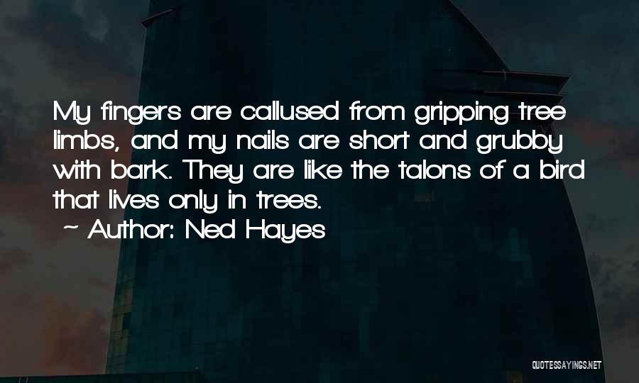 Ned Hayes Quotes: My Fingers Are Callused From Gripping Tree Limbs, And My Nails Are Short And Grubby With Bark. They Are Like