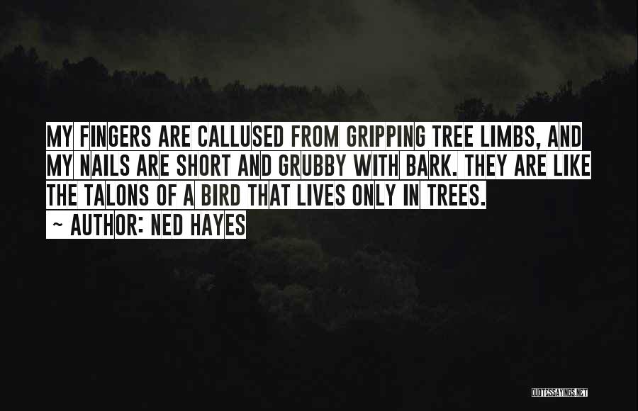 Ned Hayes Quotes: My Fingers Are Callused From Gripping Tree Limbs, And My Nails Are Short And Grubby With Bark. They Are Like