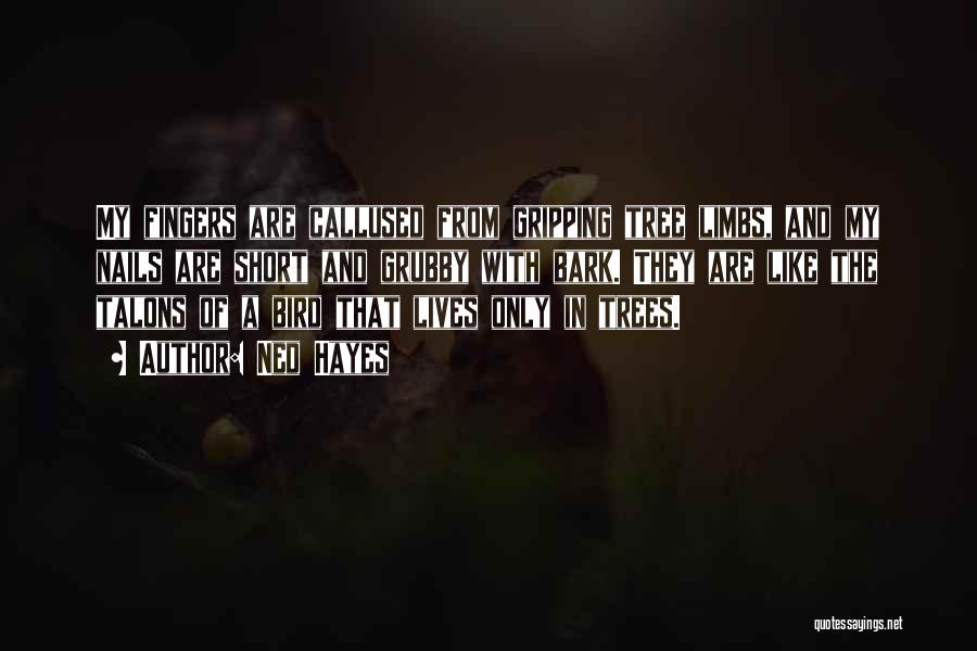 Ned Hayes Quotes: My Fingers Are Callused From Gripping Tree Limbs, And My Nails Are Short And Grubby With Bark. They Are Like