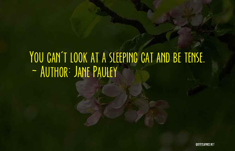 Jane Pauley Quotes: You Can't Look At A Sleeping Cat And Be Tense.