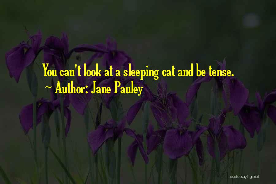 Jane Pauley Quotes: You Can't Look At A Sleeping Cat And Be Tense.