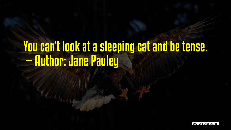 Jane Pauley Quotes: You Can't Look At A Sleeping Cat And Be Tense.