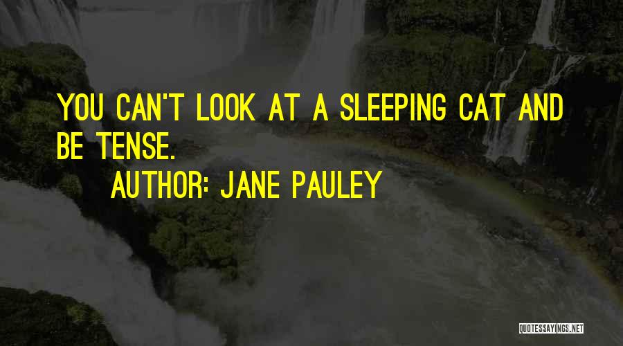 Jane Pauley Quotes: You Can't Look At A Sleeping Cat And Be Tense.