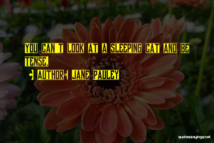 Jane Pauley Quotes: You Can't Look At A Sleeping Cat And Be Tense.