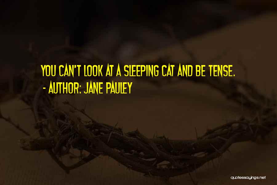 Jane Pauley Quotes: You Can't Look At A Sleeping Cat And Be Tense.