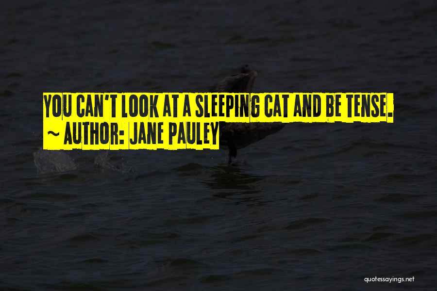 Jane Pauley Quotes: You Can't Look At A Sleeping Cat And Be Tense.