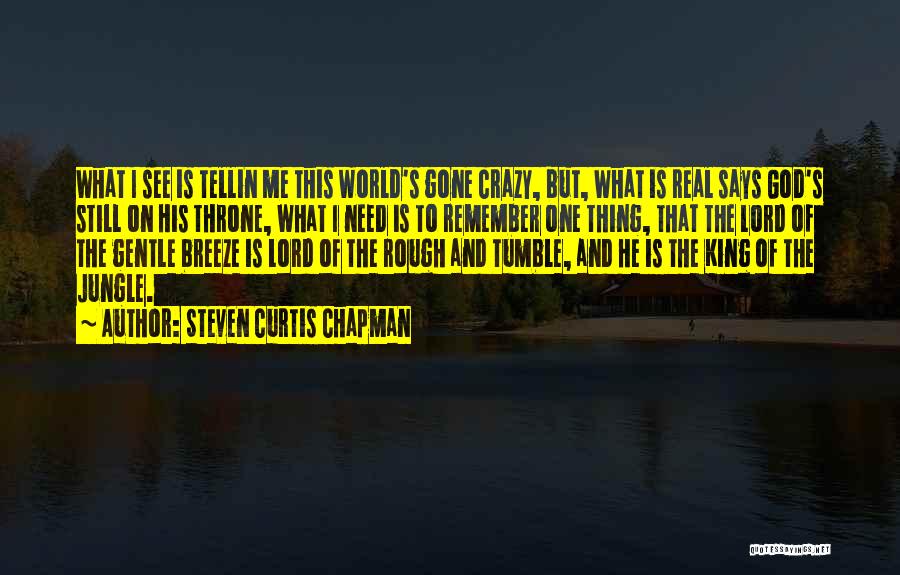 Steven Curtis Chapman Quotes: What I See Is Tellin Me This World's Gone Crazy, But, What Is Real Says God's Still On His Throne,