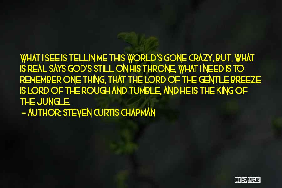 Steven Curtis Chapman Quotes: What I See Is Tellin Me This World's Gone Crazy, But, What Is Real Says God's Still On His Throne,