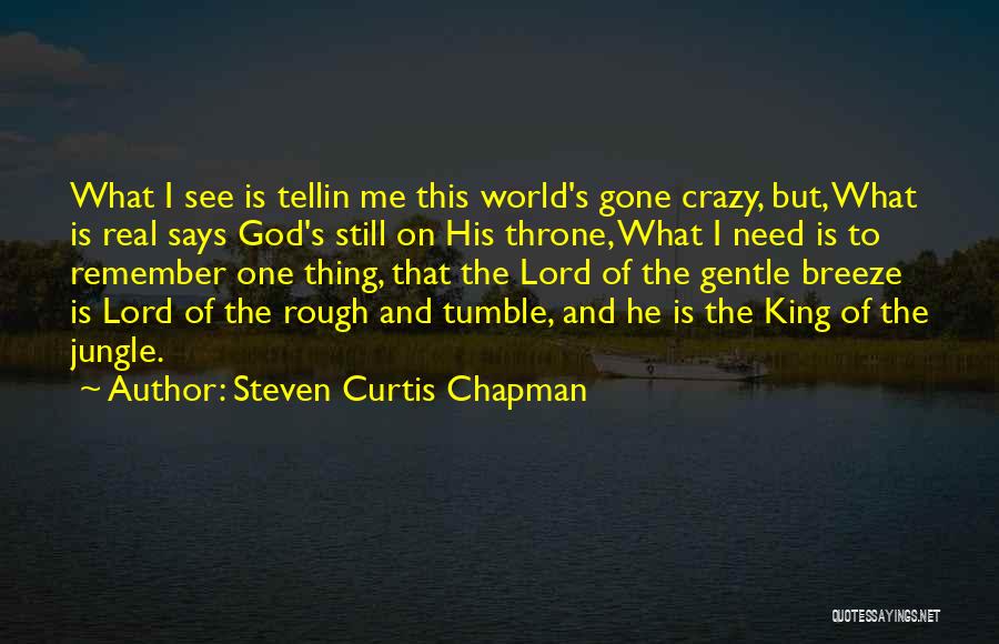 Steven Curtis Chapman Quotes: What I See Is Tellin Me This World's Gone Crazy, But, What Is Real Says God's Still On His Throne,