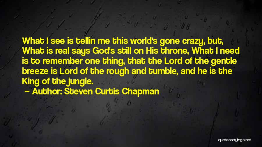 Steven Curtis Chapman Quotes: What I See Is Tellin Me This World's Gone Crazy, But, What Is Real Says God's Still On His Throne,