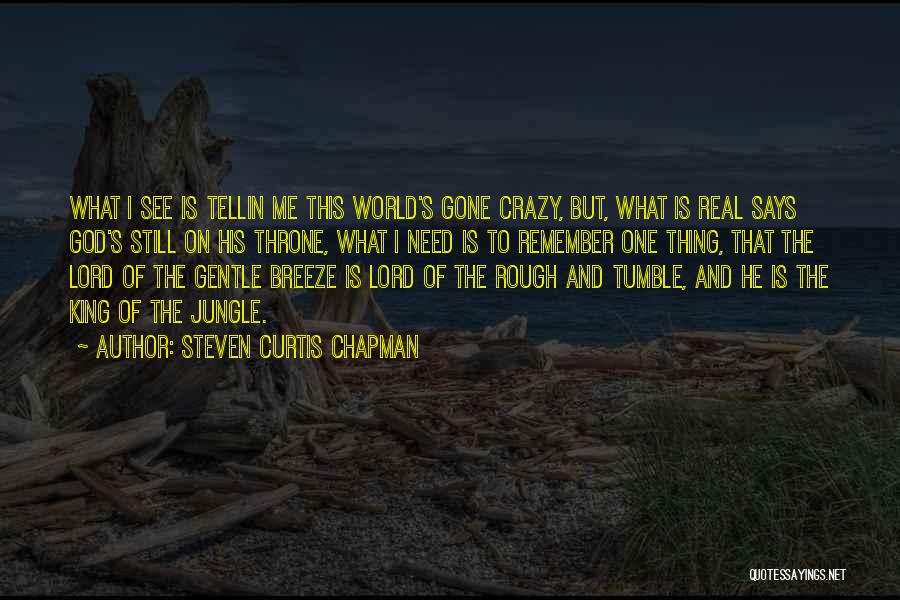 Steven Curtis Chapman Quotes: What I See Is Tellin Me This World's Gone Crazy, But, What Is Real Says God's Still On His Throne,