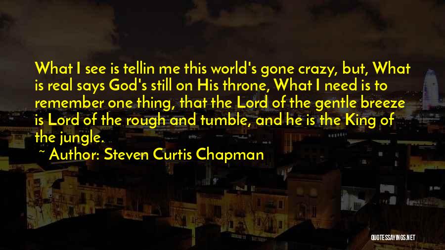 Steven Curtis Chapman Quotes: What I See Is Tellin Me This World's Gone Crazy, But, What Is Real Says God's Still On His Throne,