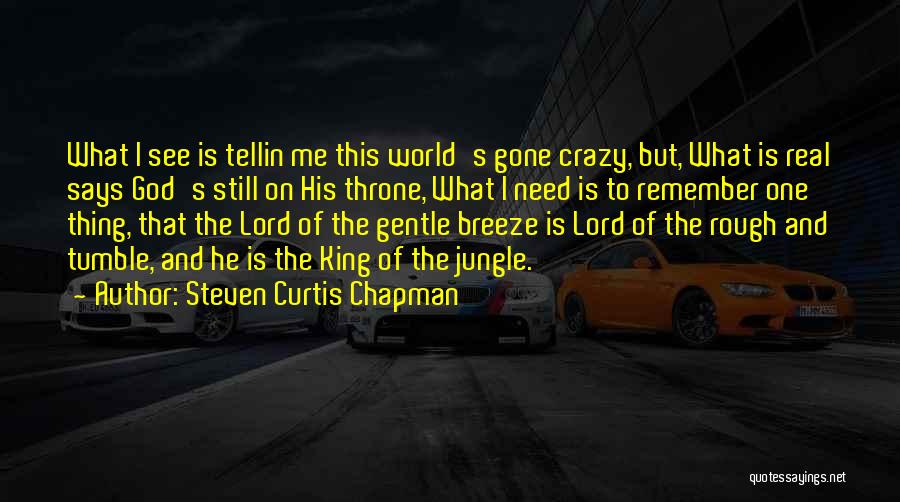 Steven Curtis Chapman Quotes: What I See Is Tellin Me This World's Gone Crazy, But, What Is Real Says God's Still On His Throne,