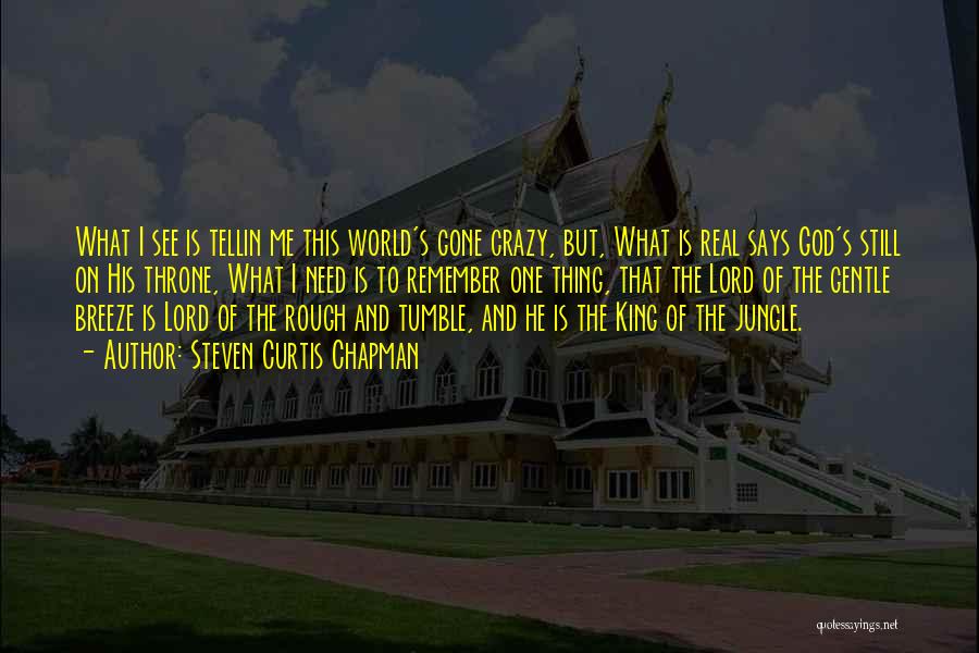 Steven Curtis Chapman Quotes: What I See Is Tellin Me This World's Gone Crazy, But, What Is Real Says God's Still On His Throne,