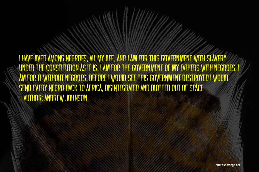 Andrew Johnson Quotes: I Have Lived Among Negroes, All My Life, And I Am For This Government With Slavery Under The Constitution As