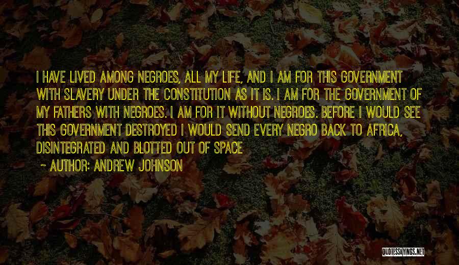Andrew Johnson Quotes: I Have Lived Among Negroes, All My Life, And I Am For This Government With Slavery Under The Constitution As