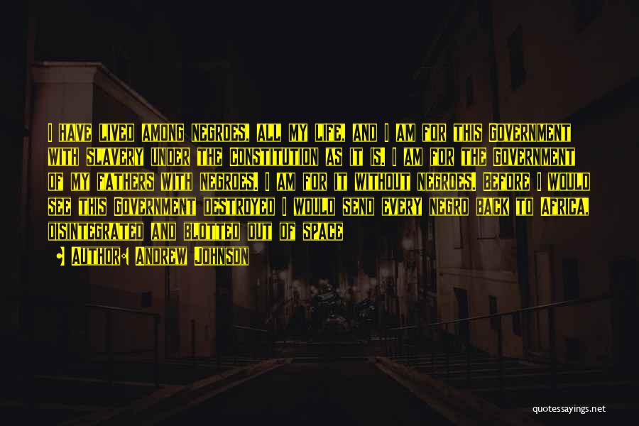 Andrew Johnson Quotes: I Have Lived Among Negroes, All My Life, And I Am For This Government With Slavery Under The Constitution As
