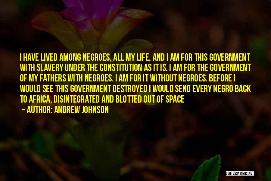 Andrew Johnson Quotes: I Have Lived Among Negroes, All My Life, And I Am For This Government With Slavery Under The Constitution As