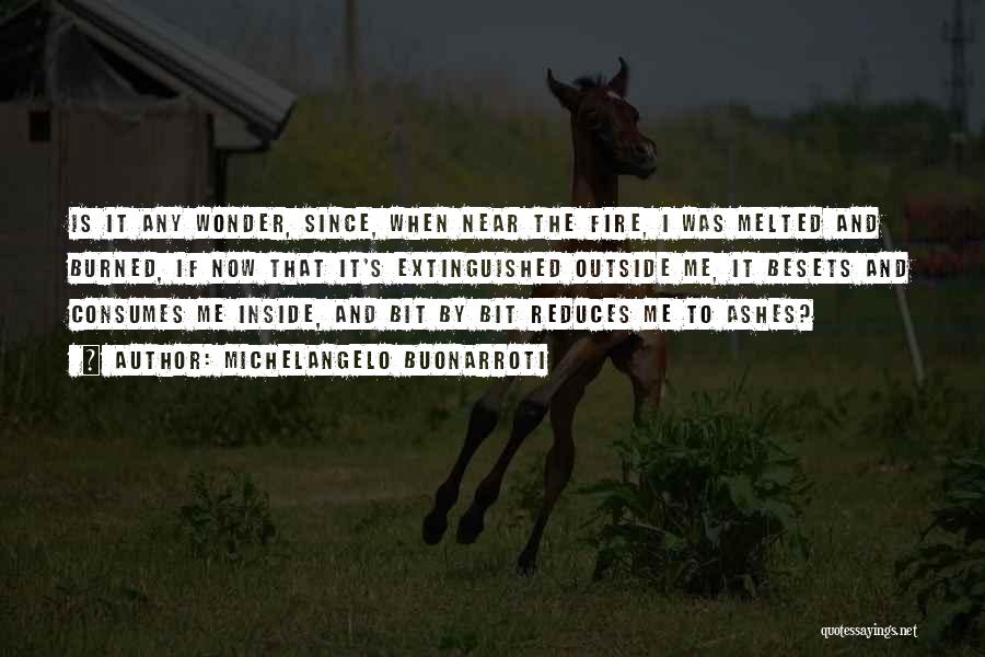 Michelangelo Buonarroti Quotes: Is It Any Wonder, Since, When Near The Fire, I Was Melted And Burned, If Now That It's Extinguished Outside