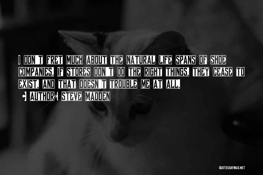 Steve Madden Quotes: I Don't Fret Much About The Natural Life Spans Of Shoe Companies. If Stores Don't Do The Right Things, They