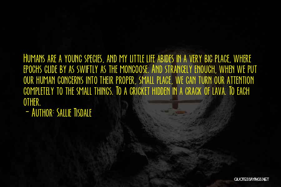 Sallie Tisdale Quotes: Humans Are A Young Species, And My Little Life Abides In A Very Big Place, Where Epochs Glide By As