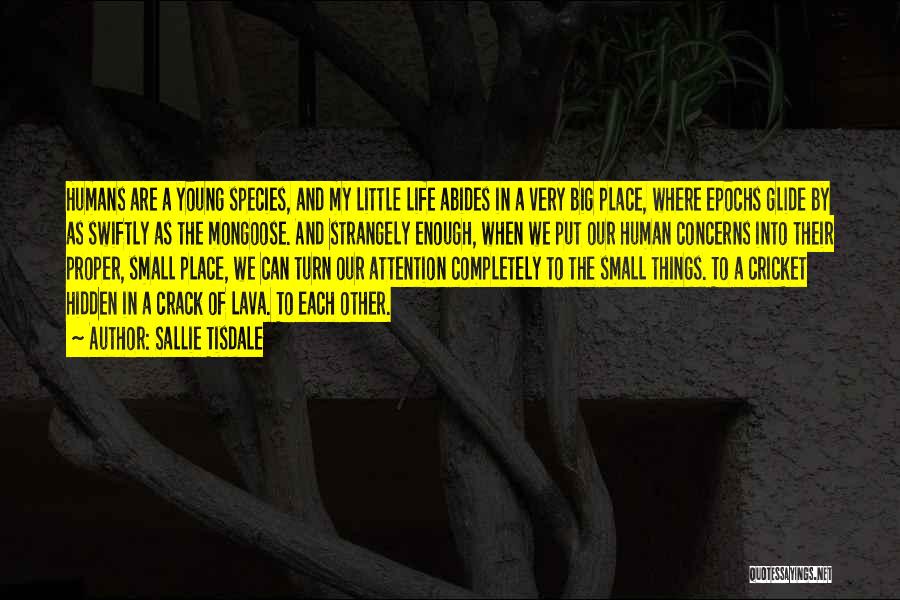 Sallie Tisdale Quotes: Humans Are A Young Species, And My Little Life Abides In A Very Big Place, Where Epochs Glide By As