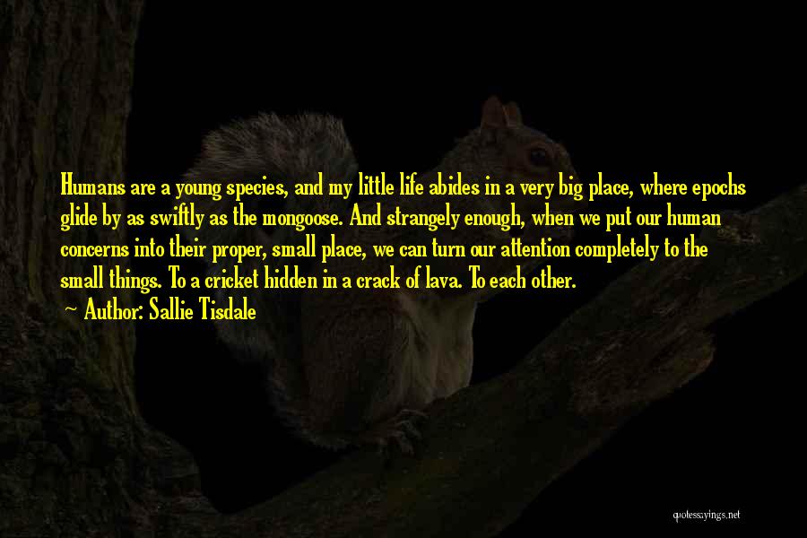 Sallie Tisdale Quotes: Humans Are A Young Species, And My Little Life Abides In A Very Big Place, Where Epochs Glide By As