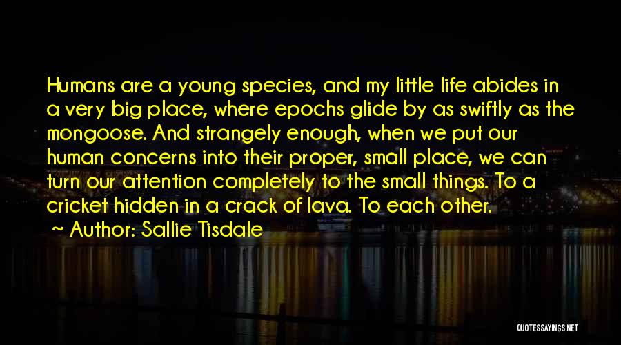 Sallie Tisdale Quotes: Humans Are A Young Species, And My Little Life Abides In A Very Big Place, Where Epochs Glide By As
