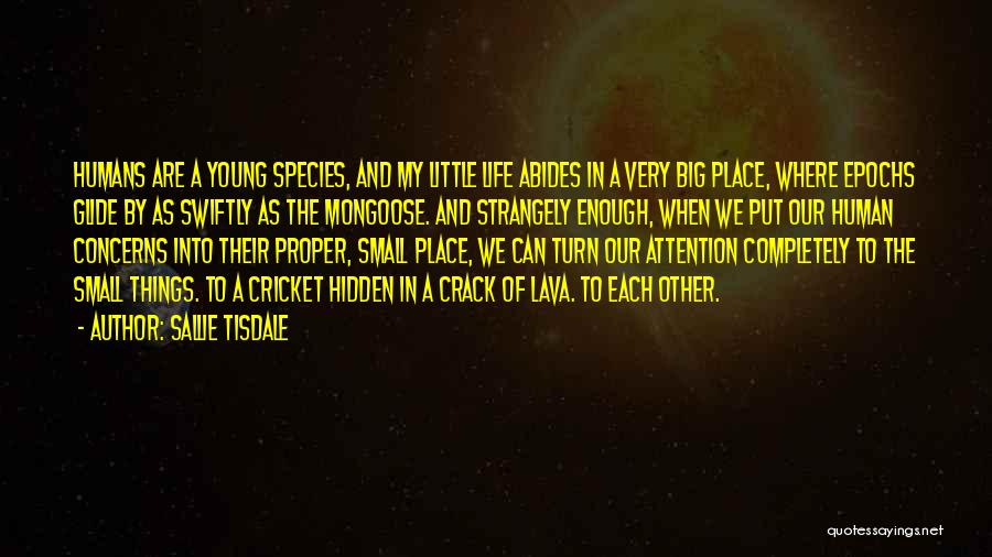 Sallie Tisdale Quotes: Humans Are A Young Species, And My Little Life Abides In A Very Big Place, Where Epochs Glide By As