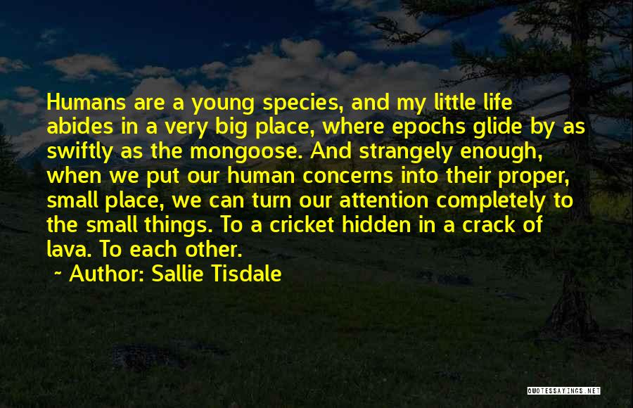 Sallie Tisdale Quotes: Humans Are A Young Species, And My Little Life Abides In A Very Big Place, Where Epochs Glide By As