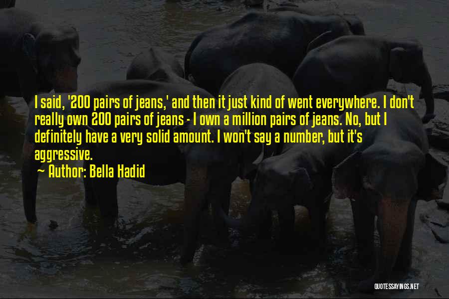 Bella Hadid Quotes: I Said, '200 Pairs Of Jeans,' And Then It Just Kind Of Went Everywhere. I Don't Really Own 200 Pairs