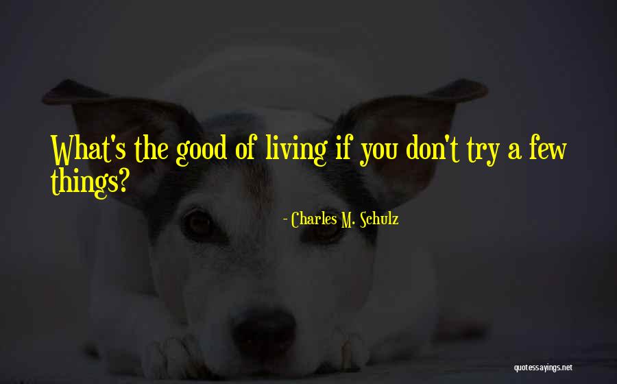 1713 Treasure Quotes By Charles M. Schulz 1713 Treasure Quotes By Charles M. Schulz