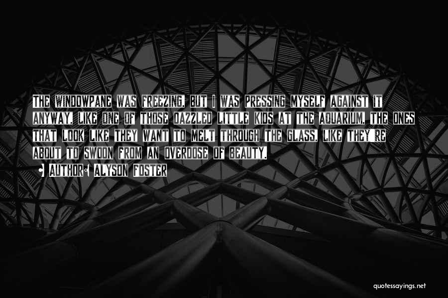 Alyson Foster Quotes: The Windowpane Was Freezing, But I Was Pressing Myself Against It Anyway, Like One Of Those Dazzled Little Kids At