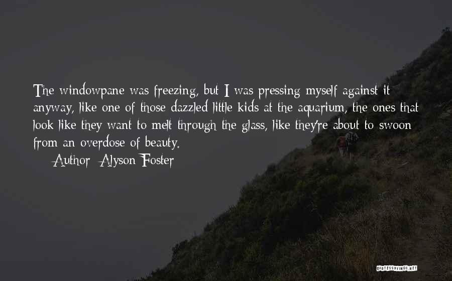 Alyson Foster Quotes: The Windowpane Was Freezing, But I Was Pressing Myself Against It Anyway, Like One Of Those Dazzled Little Kids At