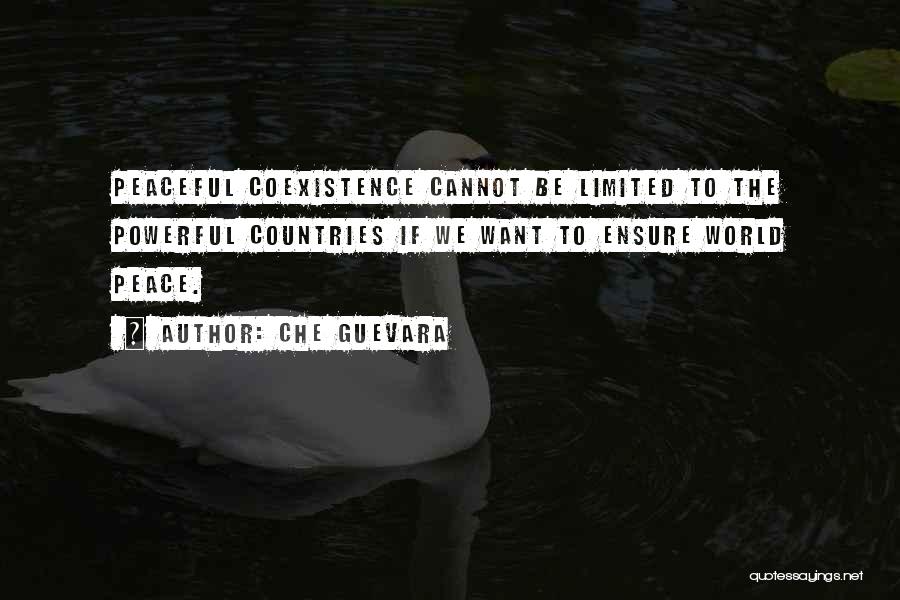 Che Guevara Quotes: Peaceful Coexistence Cannot Be Limited To The Powerful Countries If We Want To Ensure World Peace.