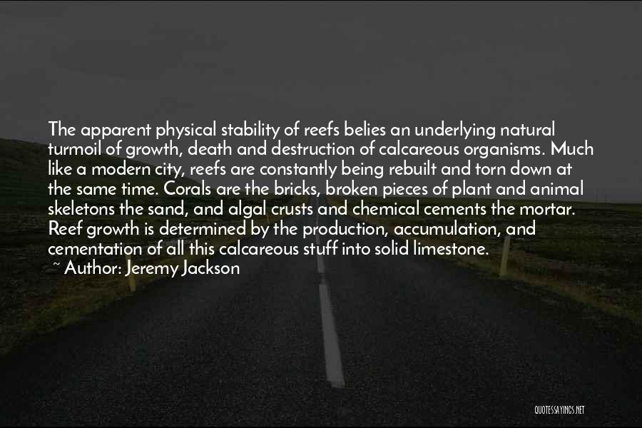 Jeremy Jackson Quotes: The Apparent Physical Stability Of Reefs Belies An Underlying Natural Turmoil Of Growth, Death And Destruction Of Calcareous Organisms. Much