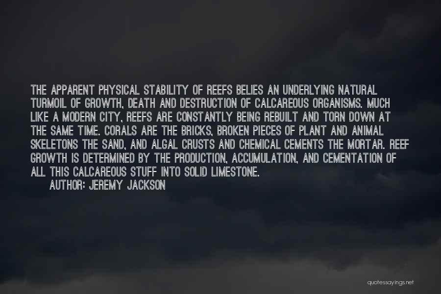 Jeremy Jackson Quotes: The Apparent Physical Stability Of Reefs Belies An Underlying Natural Turmoil Of Growth, Death And Destruction Of Calcareous Organisms. Much