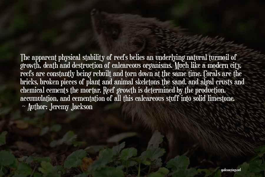 Jeremy Jackson Quotes: The Apparent Physical Stability Of Reefs Belies An Underlying Natural Turmoil Of Growth, Death And Destruction Of Calcareous Organisms. Much
