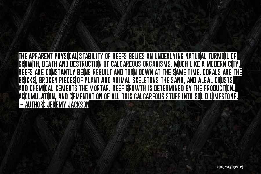 Jeremy Jackson Quotes: The Apparent Physical Stability Of Reefs Belies An Underlying Natural Turmoil Of Growth, Death And Destruction Of Calcareous Organisms. Much
