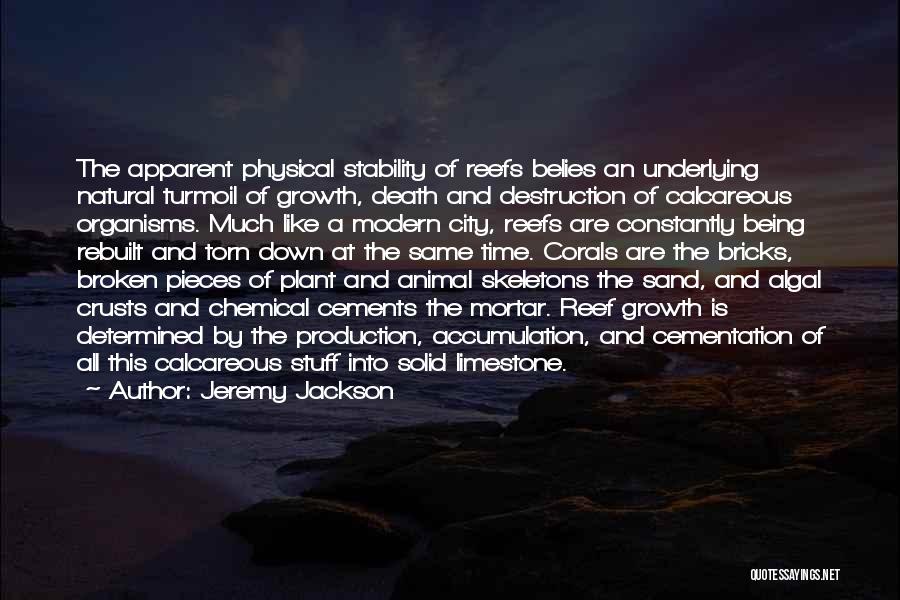 Jeremy Jackson Quotes: The Apparent Physical Stability Of Reefs Belies An Underlying Natural Turmoil Of Growth, Death And Destruction Of Calcareous Organisms. Much