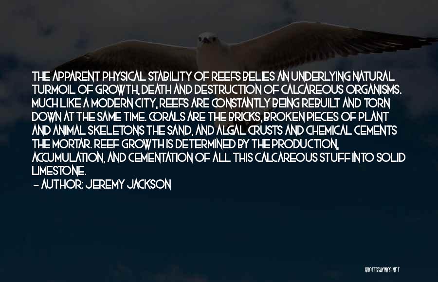 Jeremy Jackson Quotes: The Apparent Physical Stability Of Reefs Belies An Underlying Natural Turmoil Of Growth, Death And Destruction Of Calcareous Organisms. Much