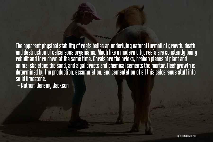 Jeremy Jackson Quotes: The Apparent Physical Stability Of Reefs Belies An Underlying Natural Turmoil Of Growth, Death And Destruction Of Calcareous Organisms. Much